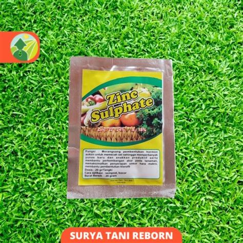 Jual Zinc Sulfate 20 G L 20 Gr Pupuk Penyubur Tanaman Pupuk Pelengkap