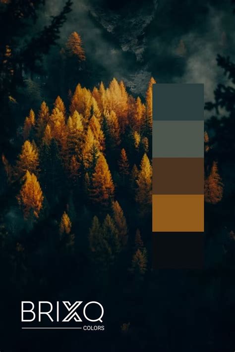 Color Palette And Schemes For Designers