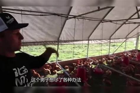 小伙放夹子捕捉偷鸡贼，意外夹住个奇怪生物，看清后脸色变了！夹子生物脸色