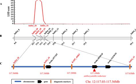 Identification Of The Candidate Genes Of Ahrt Through Qtl Mapping A