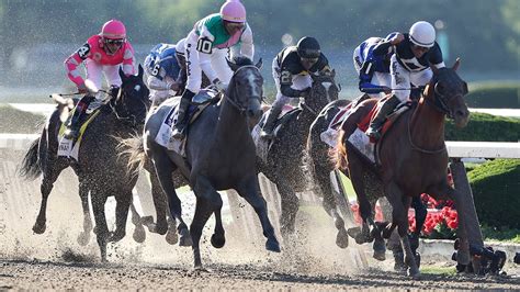 Attending The Belmont Stakes Everything You Need To Know About The