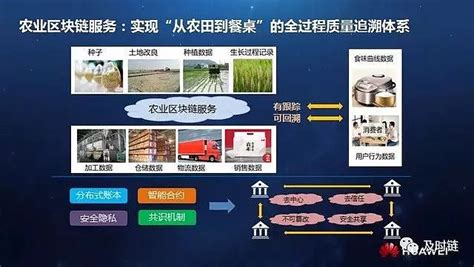 中国区块链农业四大应用场景盘点 农业工程是生命工程。民以食为天，解决13亿中国人的吃饭问题始终是头等大事 尤其在竞争农业化的大背景下，要实现“农村现代化 雪球