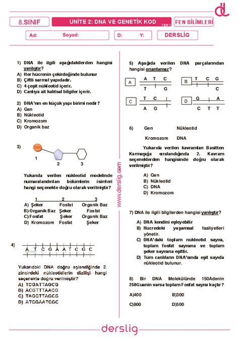 8 Sınıf Fen Bilimleri DNA ve Genetik Kod Test 7 Yaprak Test Derslig