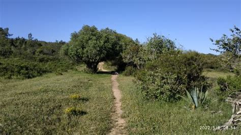 2023 Best Lake Trails in Southwest Alentejo and Vicentine Coast Natural ...