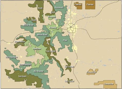 Colorado National Forest Map - Vicky Jermaine