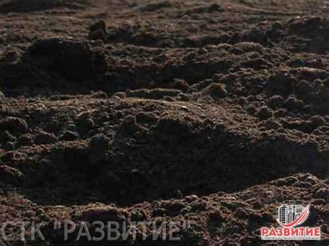 Грунт плодородный цена: от 400 р/м3 СПб