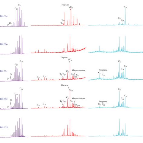 Tic Terpane And Sterane Mass Chromatograms Of Samples From Fengcaogou