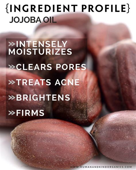 Jojoba Oil {organic} | Diy skin care, Skin care recipes, How to treat acne