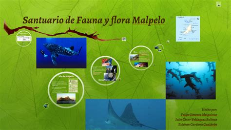 Santuario de Fauna y flora Malpelo by Julio César Velasquez Salinas on ...