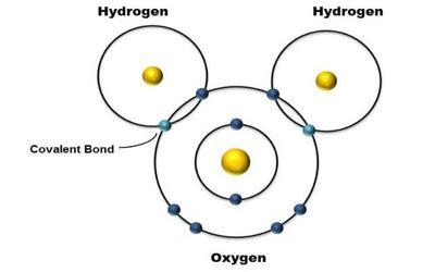 Covalent Bonds - Zoefact