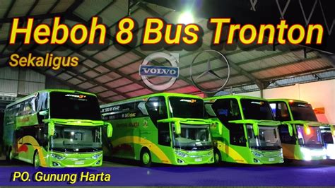 Review Bus Tronton Gunung Harta Terbaru YouTube