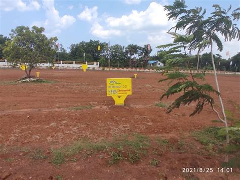 Best Open Plots For Sale In Vijayawada At Rs 13500 Square Yard In