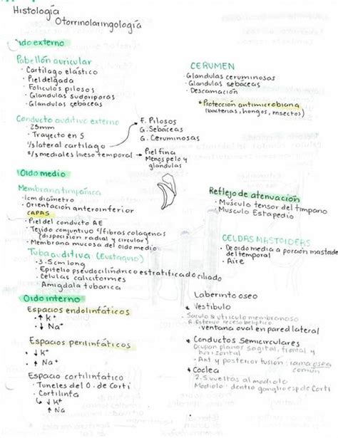 Histología otorrinolaringología Fer Yan Márquez uDocz