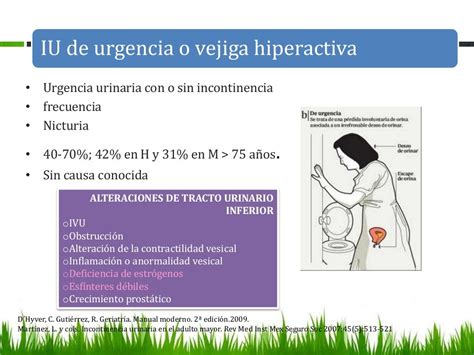 Incontinencia Urinaria Y Fecal