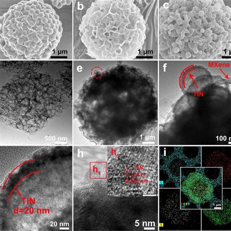 SEM Images Of A SPS MXene B 3D MXene C TiN MXene D TEM Image