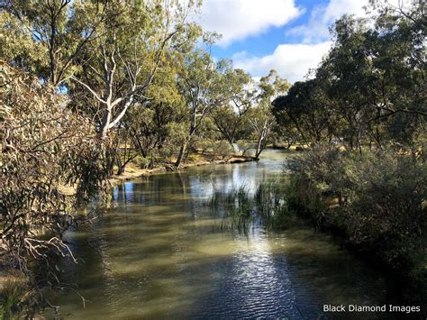 Weir Park Wimmera River Horsham Wimmera District Weste Flickr