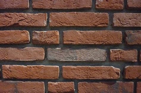 Bricks (wall) Free Photo Download | FreeImages