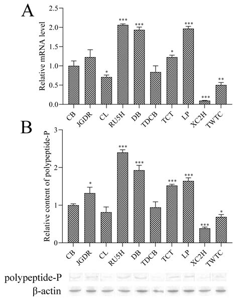 Real Time Quantitative Pcr Analysis Of The Expression Pattern Of The