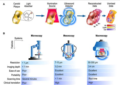 Figure From Optoacoustic Biomarkers Of Lipids Hemorrhage And