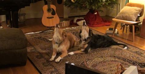 Christmas Songs Singing Dogs