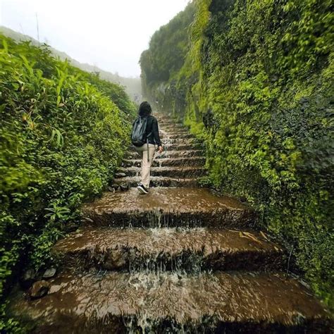visapur fort  comprehensive trekking guide nomads  india