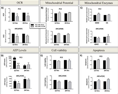 Figure 4 From Bone Marrow Adipocytes Promote The Warburg Phenotype In