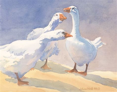 1000 Images About Geese Ducks Swans On Pinterest Watercolor Print