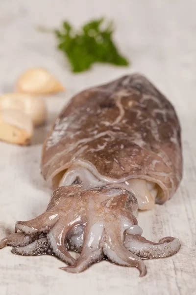 Raw Cuttlefish Stock Photos Royalty Free Raw Cuttlefish Images