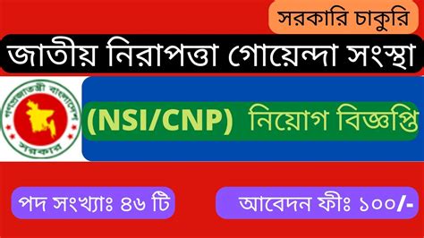 Nsi New Job Circular Update Today Apply Online Nsi