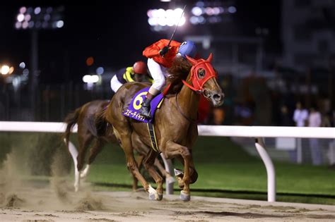 地方競馬全国協会nar公式 On Twitter 戸塚記念 1着はスピーディキック。本日川崎競馬場で行われた、3歳秋の