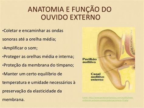 Como Funciona A Audicao - Sentido Da Audição: Para Que Serve, Partes, Como Funciona – UMRDTQ