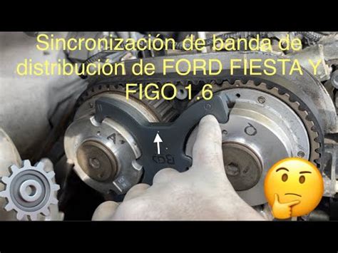 Fiesta Figo Ford Banda De Tiempo O Distribuci N Motor Youtube