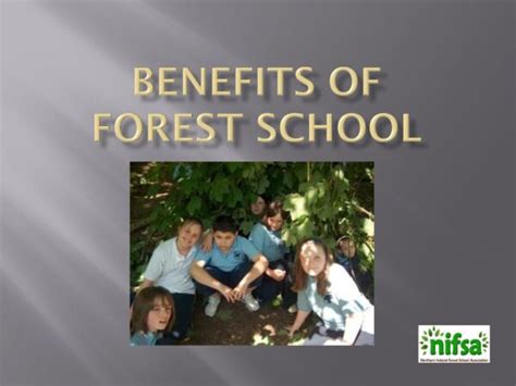 Level 1 Introduction To Forest School • Forest Schools In Northern