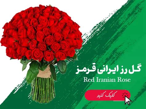 گل رز ایرانی عمده و تک شاخه ای با قیمت ارزان پخش عمده