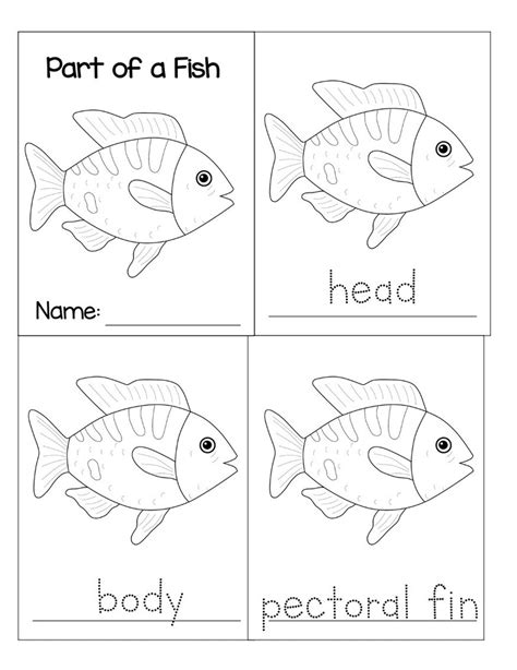 Parts Of A Fish Montessori Part Cards Etsy New Zealand