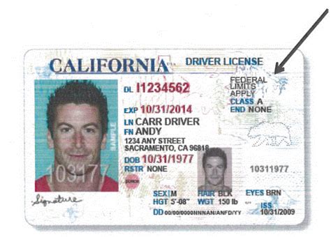 Undocumented Immigrants Hit The Road With Ca Drivers Licenses