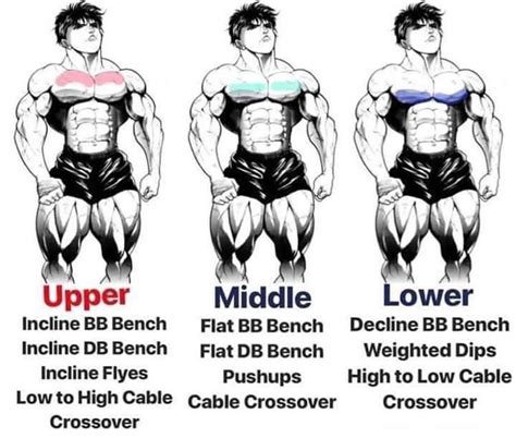 Upper Chest Workout