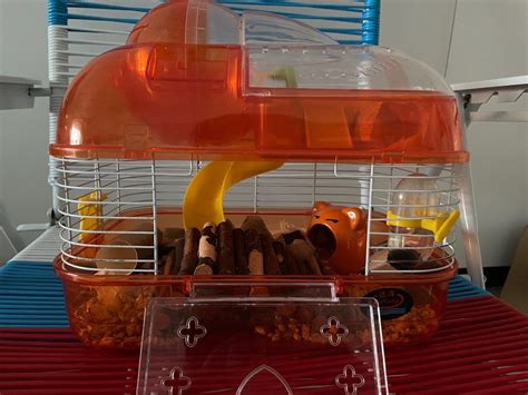 Hamster Cage + accessories | Hamster cage with accessories | small ...