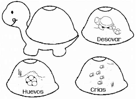 Estupendo material didáctico para enseñar y aprender sobre el ciclo de