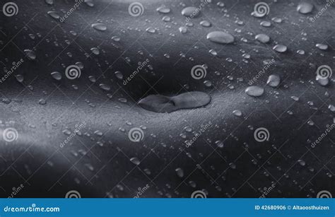 Bodyscape Of A Nude Woman With Wet Stomach And Back Lighting Art Stock