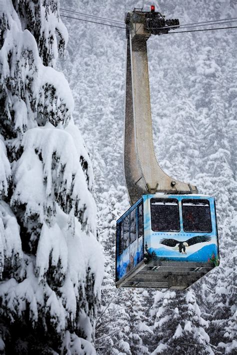 Alyeska Resort Tram | Girdwood Things To Do | ALASKA.ORG