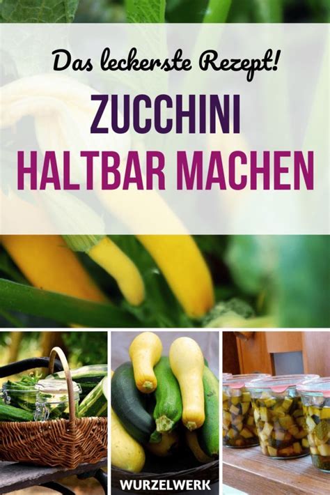 Zucchini Einmachen Zucchinischwemme Haltbar Machen Hier Kommt Das