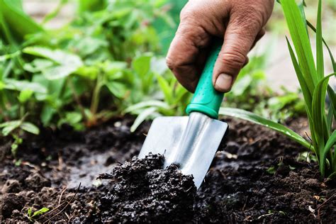 Top Gardening Tools For Beginners British Garden Centres