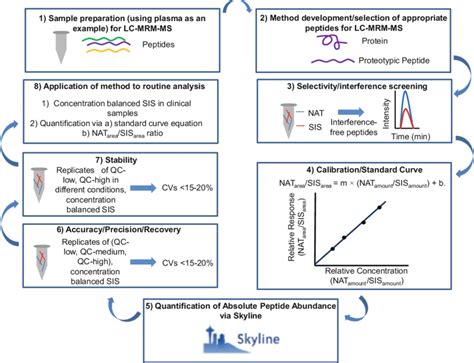 Schematic Workflow Of The Steps Required For Development And