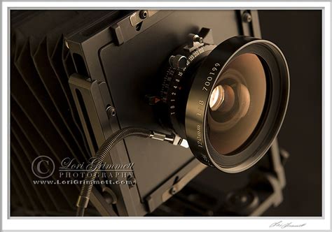 Large Format Camera | Lori Grimmett