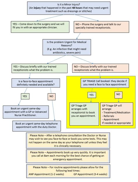 Triage Process Flow Chart