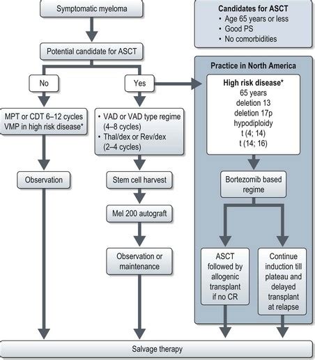 Cancers Of The Haematopoietic System Oncohema Key