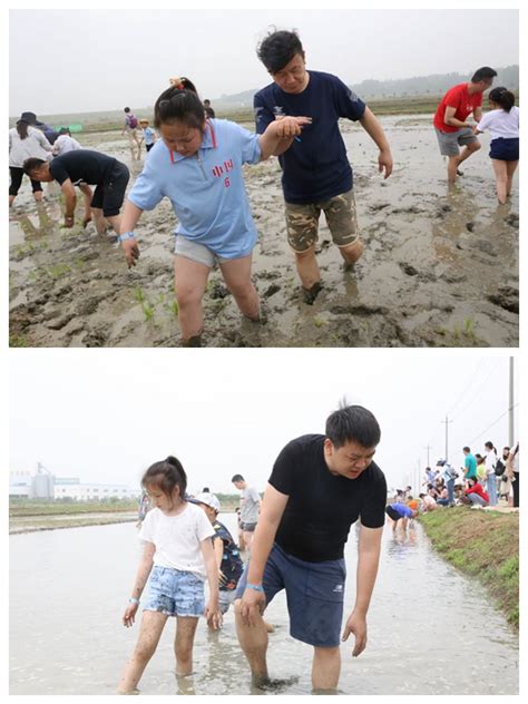 【南京】艾津稻园：插秧摸鱼 夏日狂欢之旅开启中国江苏网