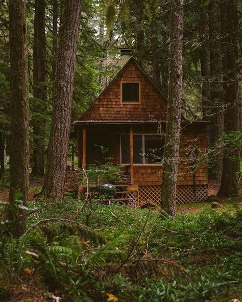 Cabinology Cabins In The Woods House In The Woods Forest House