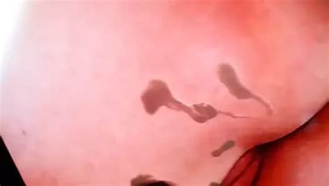 Annette Schwarz Cum Tribute Free Man Porn C6 XHamster